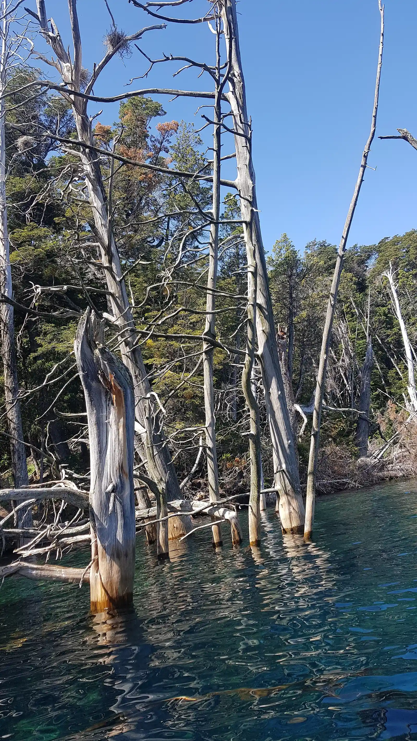 Buceo y esnórquel — Villa Traful, Neuquén Buceo y esnórquel, Villa Traful