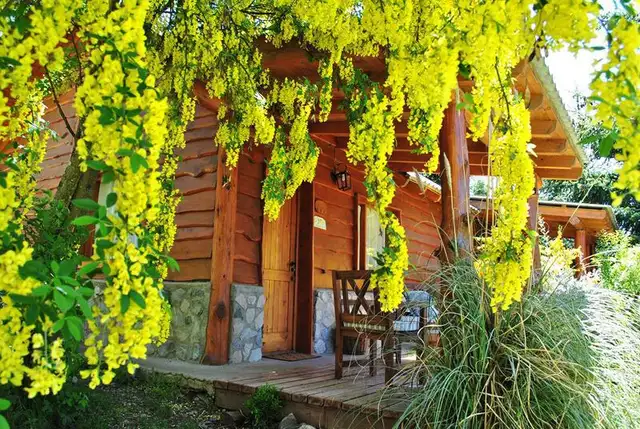 Eluney - cabañas sobre costa del Lago Traful — Villa Traful, Neuquén Eluney - cabañas sobre costa del Lago Traful, cabaña en Villa Traful, Neuquén