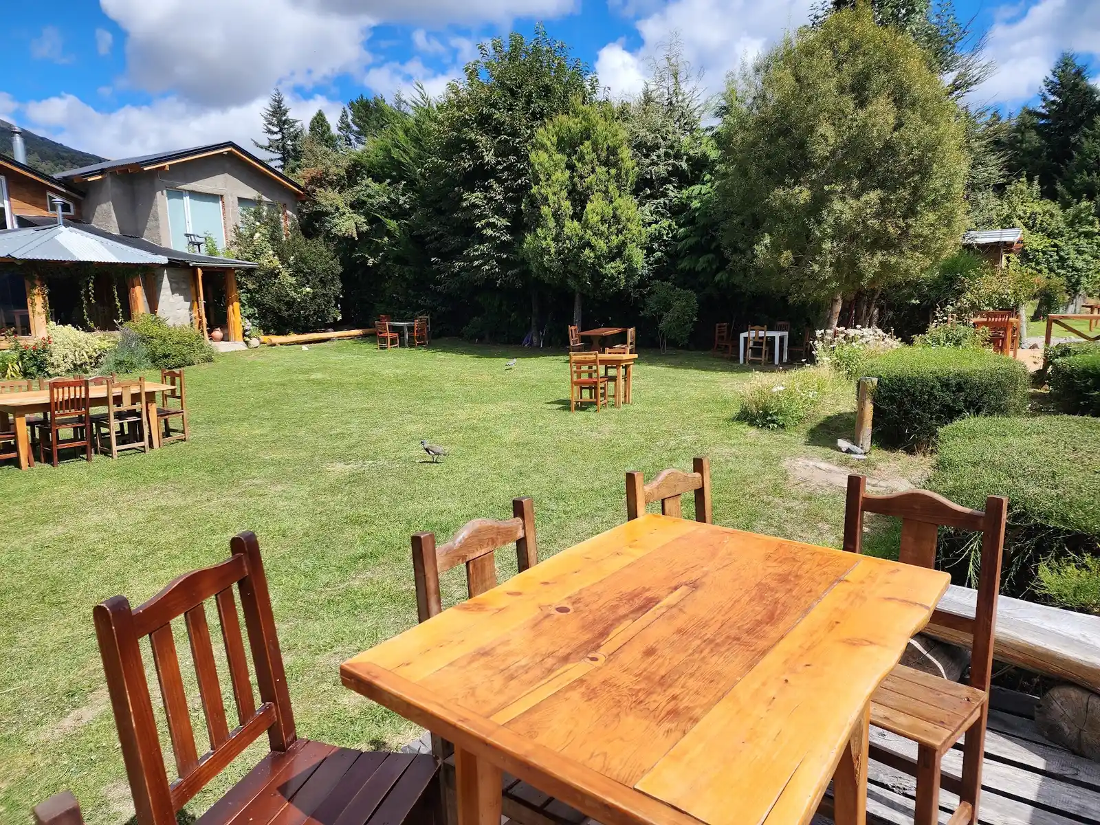 Peumawe: puntaje, ubicación y contacto en Villa Traful Peumawe, Villa Traful