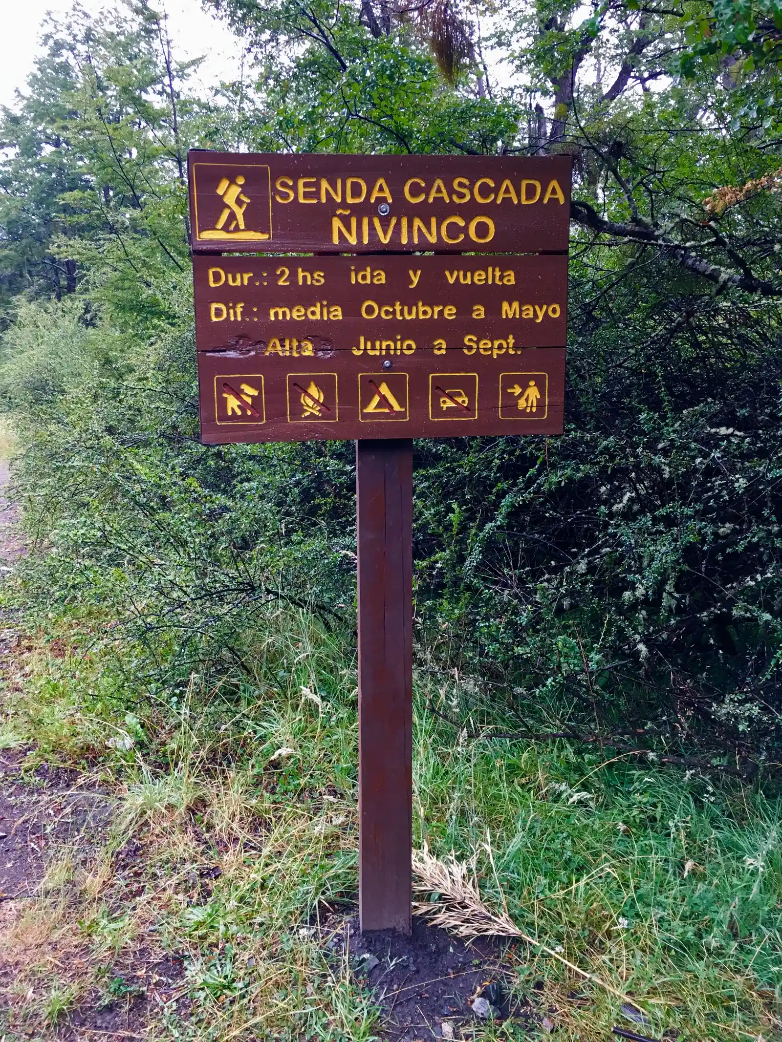 Cascadas Coa Có y Blanco — Villa Traful, Neuquén Tramo de sendero entre el bosque, en el recorrido hacia la cascada Ñivinco.